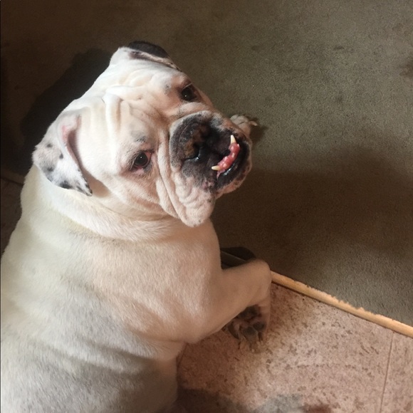 Meet your Posher, Angie - Picture 5 of 6